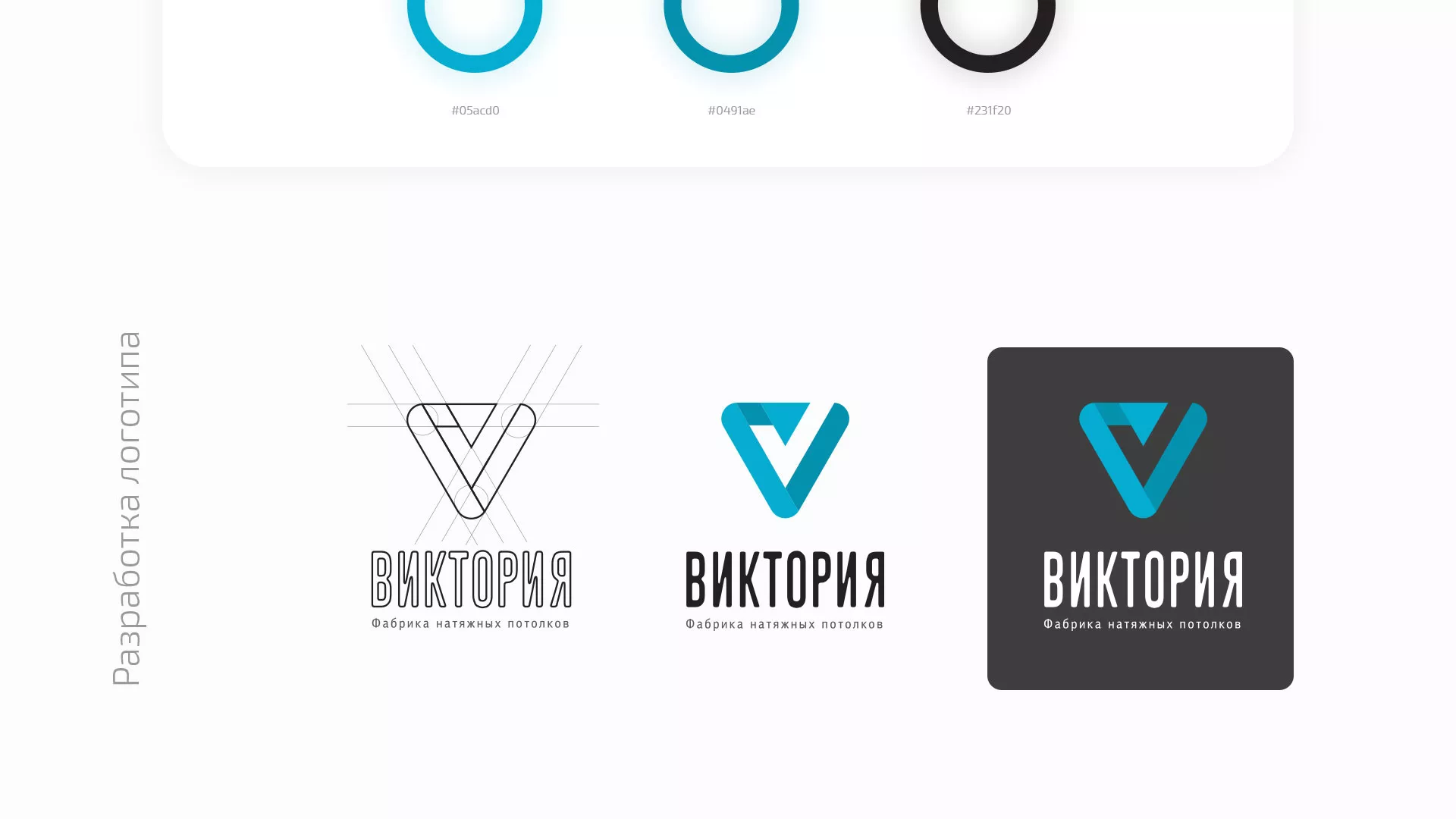 Разработка фирменного стиля компании по продаже и установке натяжных потолков в Барабинске