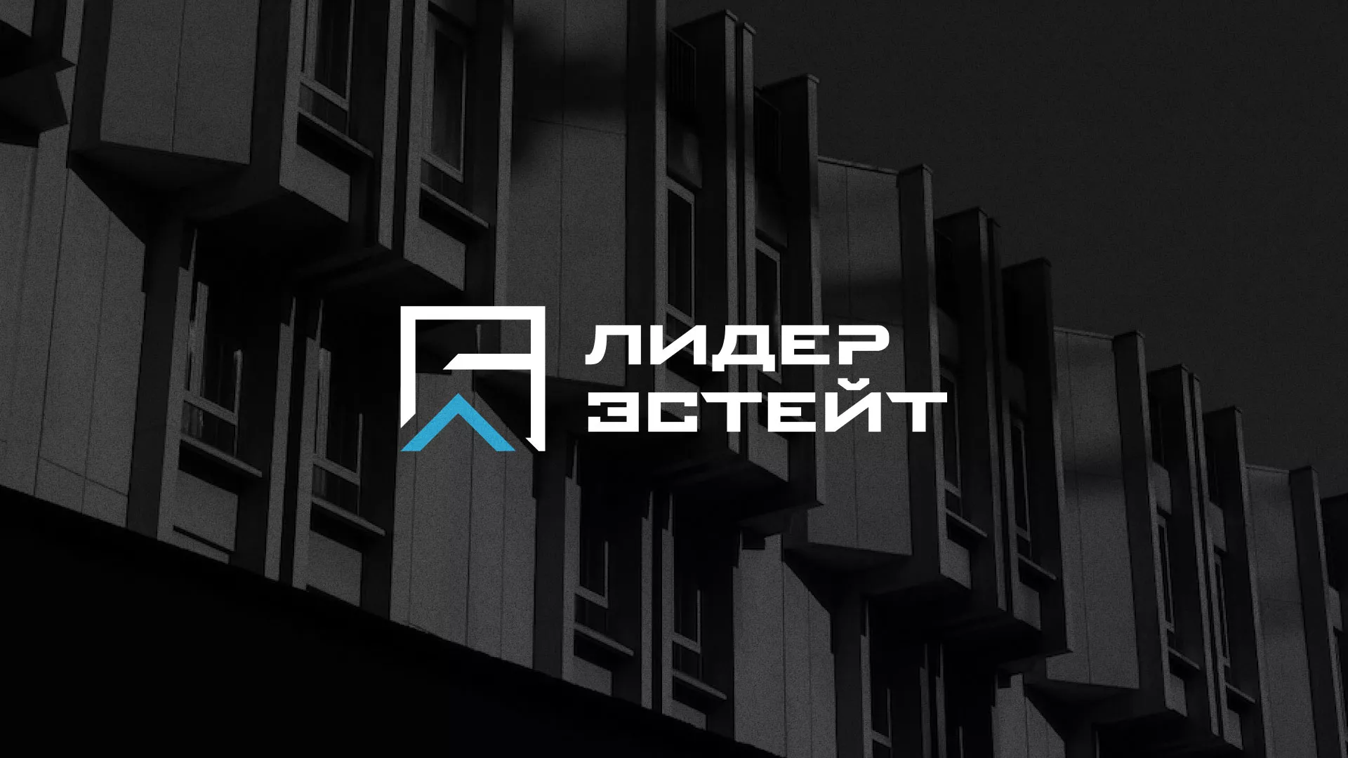 Разработка логотипа агентства недвижимости «Лидер Эстейт» в Барабинске